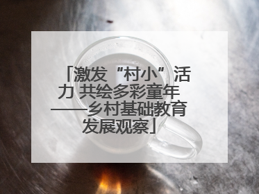 激发“村小”活力 共绘多彩童年——乡村基础教育发展观察