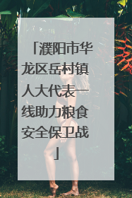 濮阳市华龙区岳村镇人大代表一线助力粮食安全保卫战