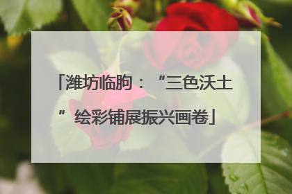 潍坊临朐：“三色沃土”绘彩铺展振兴画卷