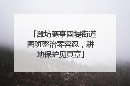 潍坊寒亭固堤街道图斑整治零容忍，耕地保护见真章