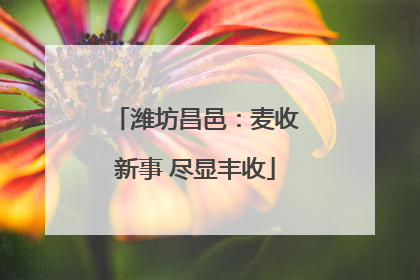 潍坊昌邑：麦收新事 尽显丰收