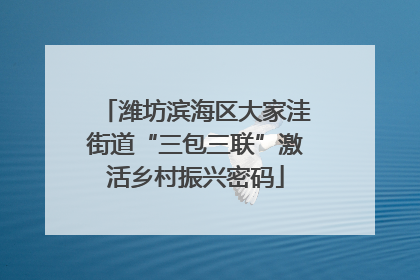 潍坊滨海区大家洼街道“三包三联”激活乡村振兴密码