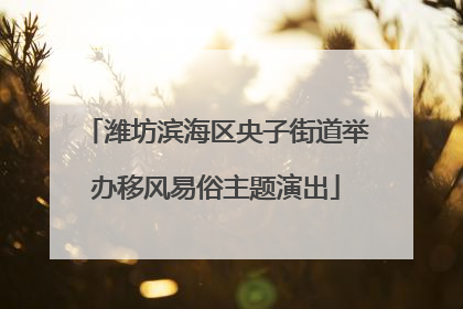 潍坊滨海区央子街道举办移风易俗主题演出