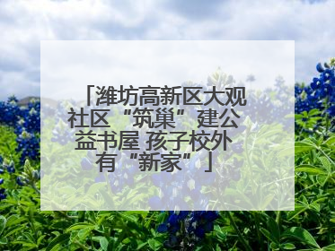 潍坊高新区大观社区“筑巢”建公益书屋 孩子校外有“新家”