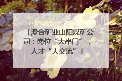 澄合矿业山阳煤矿公司：岗位“大串门”，人才“大交流”