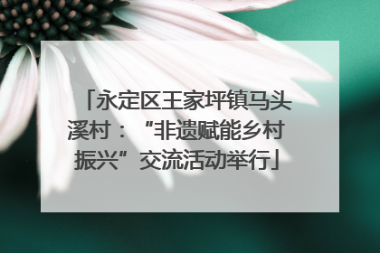 永定区王家坪镇马头溪村：“非遗赋能乡村振兴”交流活动举行