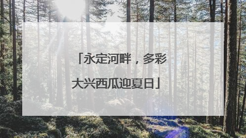 永定河畔，多彩大兴西瓜迎夏日