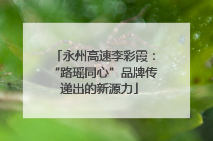 永州高速李彩霞：“路瑶同心”品牌传递出的新源力