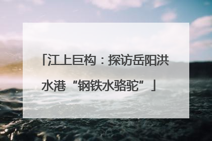 江上巨构：探访岳阳洪水港“钢铁水骆驼”