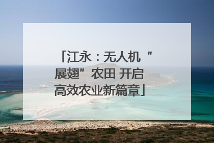 江永：无人机“展翅”农田 开启高效农业新篇章