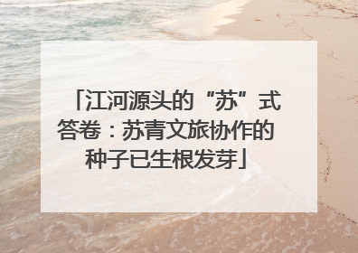 江河源头的“苏”式答卷：苏青文旅协作的种子已生根发芽