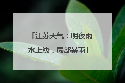 江苏天气：明夜雨水上线，局部暴雨