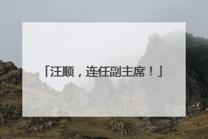 汪顺，连任副主席！