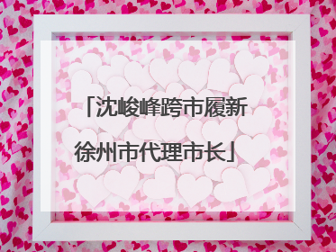 沈峻峰跨市履新徐州市代理市长