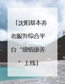 沈阳基本养老服务综合平台“盛情康养”上线