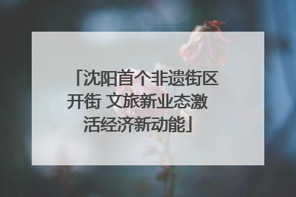 沈阳首个非遗街区开街 文旅新业态激活经济新动能