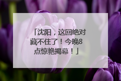 沈阳，这回绝对藏不住了！今晚8点惊艳揭幕！
