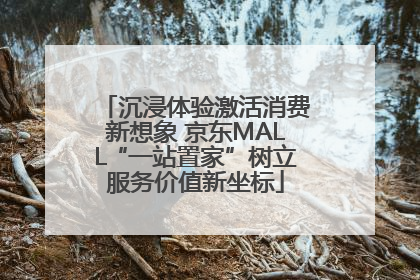 沉浸体验激活消费新想象 京东MALL“一站置家”树立服务价值新坐标