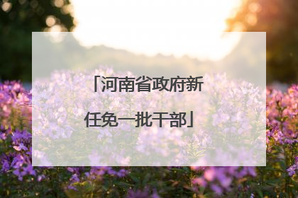 河南省政府新任免一批干部