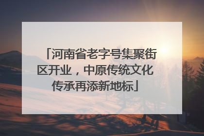 河南省老字号集聚街区开业，中原传统文化传承再添新地标
