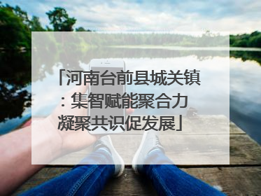 河南台前县城关镇：集智赋能聚合力 凝聚共识促发展