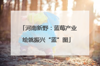 河南新野：蓝莓产业绘就振兴“蓝”图