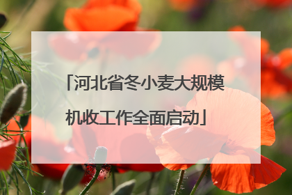 河北省冬小麦大规模机收工作全面启动