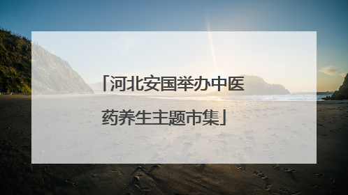 河北安国举办中医药养生主题市集
