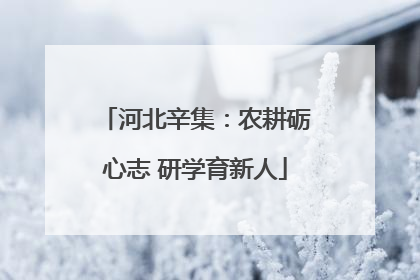 河北辛集：农耕砺心志 研学育新人
