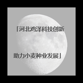 河北鸡泽科技创新助力小麦种业发展