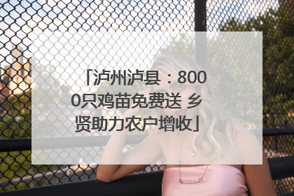 泸州泸县：8000只鸡苗免费送 乡贤助力农户增收