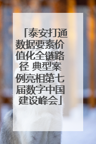 泰安打通数据要素价值化全链路径 典型案例亮相第七届数字中国建设峰会