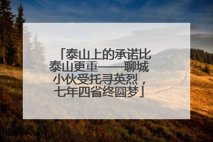泰山上的承诺比泰山更重——聊城小伙受托寻英烈，七年四省终圆梦