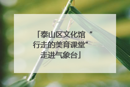 泰山区文化馆“行走的美育课堂”走进气象台