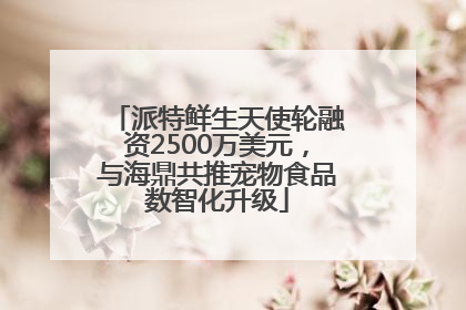 派特鲜生天使轮融资2500万美元，与海鼎共推宠物食品数智化升级