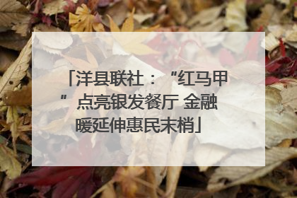 洋县联社：“红马甲”点亮银发餐厅 金融暖延伸惠民末梢