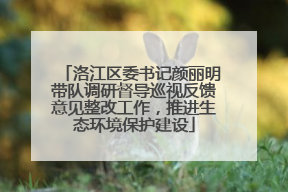 洛江区委书记颜丽明带队调研督导巡视反馈意见整改工作，推进生态环境保护建设