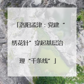 洛阳孟津：党建“绣花针”穿起基层治理“千条线”