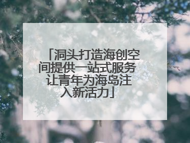 洞头打造海创空间提供一站式服务 让青年为海岛注入新活力