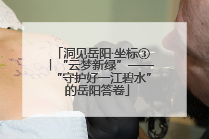 洞见岳阳·坐标③丨“云梦新绿”——“守护好一江碧水”的岳阳答卷