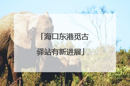海口东港觅古驿站有新进展
