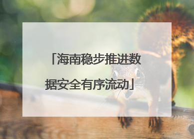 海南稳步推进数据安全有序流动