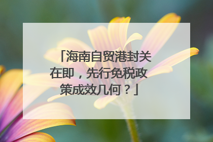 海南自贸港封关在即，先行免税政策成效几何？