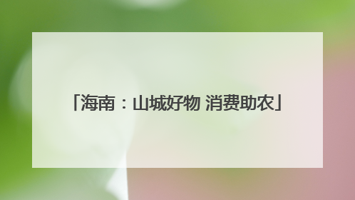 海南：山城好物 消费助农