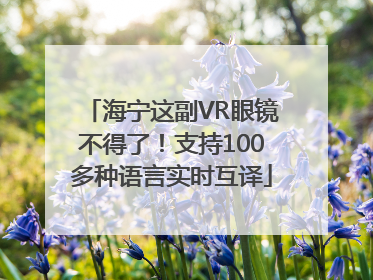 海宁这副VR眼镜不得了！支持100多种语言实时互译