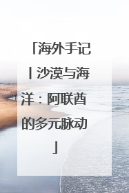 海外手记丨沙漠与海洋：阿联酋的多元脉动