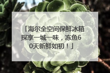 海尔全空间保鲜冰箱探享一城一味，冻鱼60天新鲜如初！