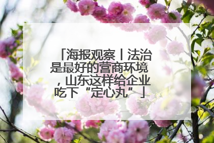 海报观察丨法治是最好的营商环境，山东这样给企业吃下“定心丸”