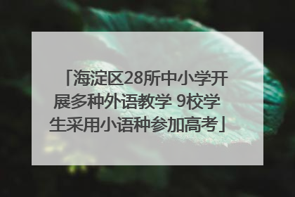 海淀区28所中小学开展多种外语教学 9校学生采用小语种参加高考