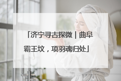济宁寻古探微｜曲阜霸王坟，项羽魂归处